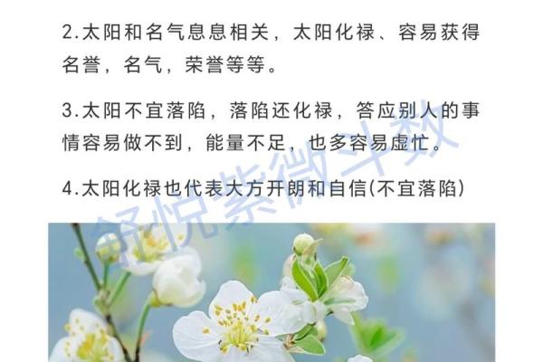 化禄化权化科化忌什么意思 紫微斗数中四化的含义 化禄化权化科化忌什么意思 紫微斗数中四化的含义