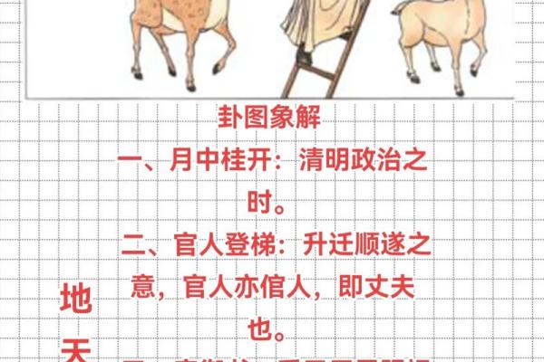 紫薇斗数周易 紫薇斗数周易