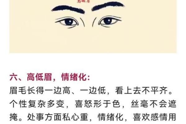 风水角度：柳叶眉女生的面相解释