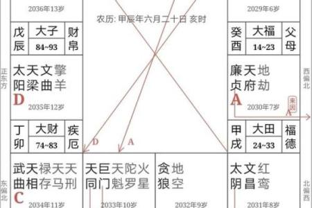 紫薇斗数中的坐守是什么