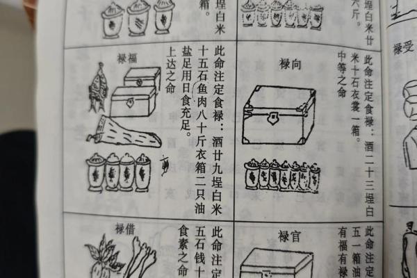 算命里衣禄是什么意思 算命里衣禄是什么意思