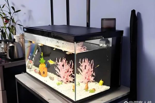 茶几鱼缸的风水 茶几鱼缸的风水
