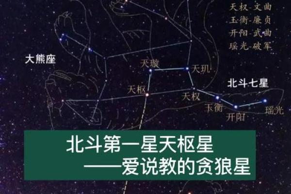 紫薇星贪狼星在福德宫 紫薇星贪狼星在福德宫