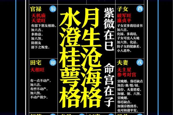 倪师《天纪》学习笔记紫微斗数的特殊格局 倪师《天纪》学习笔记紫微斗数的特殊格局