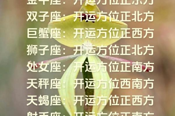 12星座运势从哪里来的 12星座运势从哪里来的