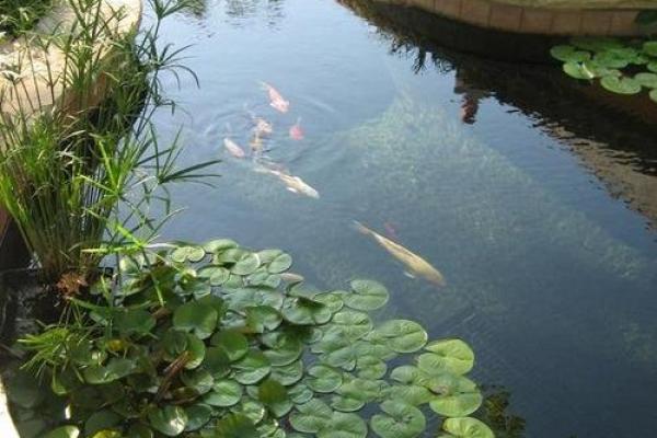 在这些情况下,风水能发挥效果 在这些情况下,风水能发挥效果