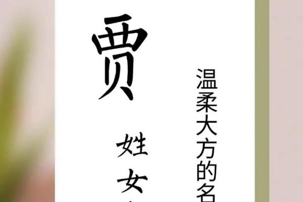 贾姓女孩名字大全-贾姓女孩起名字大全-贾姓名字大全姓名 贾姓女孩名字大全-贾姓女孩起名字大全-贾姓名字大全姓名