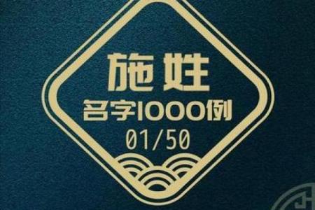 施姓男孩名字大全-施姓男孩起名字大全-施姓名字大全姓名