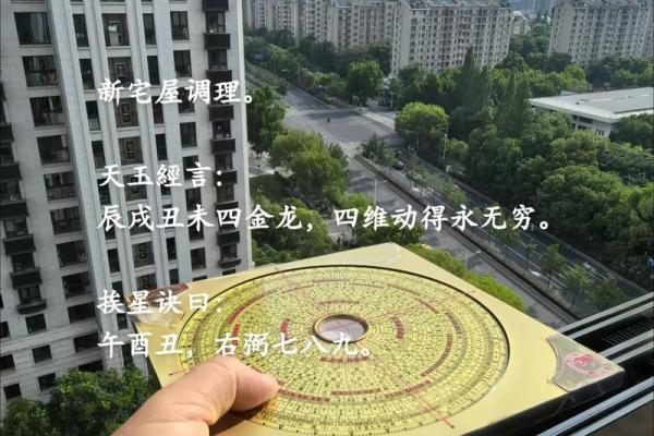 天星风水张子成风水 天星风水张子成风水