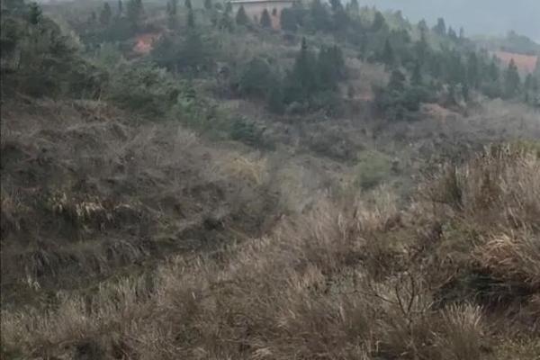 风水先生:人世间最上乘的风水 风水先生:人世间最上乘的风水