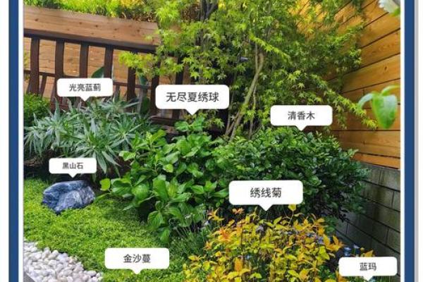 园林风水_家居养花有哪些禁忌 园林风水_家居养花有哪些禁忌