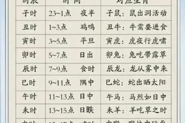 八字十二地支详解