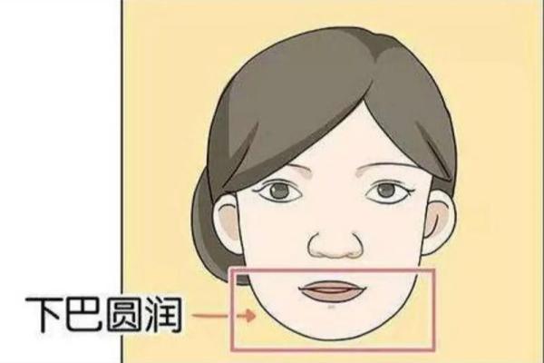 算命命中有几个子女 子女运跟下巴饱满有关 算命命中有几个子女 子女运跟下巴饱满有关