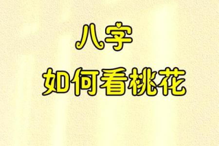 八字桃花之谜，独家揭秘八字中的桃花秘籍