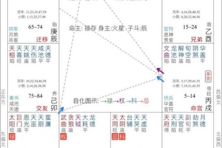 阿道夫紫薇斗数
