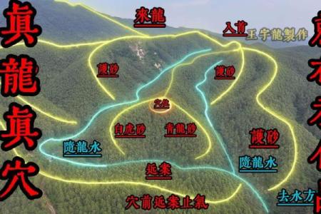 风水墓地_风水玄幻小说排行榜