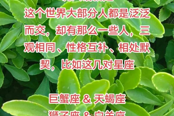 分手后纠缠星座，不得不说的3种星座特征