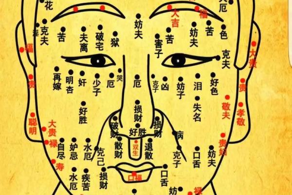 颧骨面相 颧骨面相算命图解