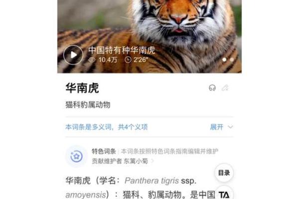 老虎属什么星座？看看这个详细的星座解析！