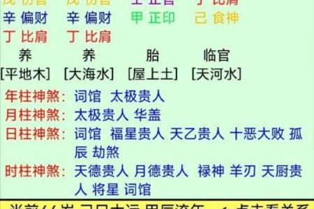 八字杂奇格：两神成象格