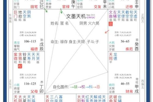 紫薇斗数子女预测