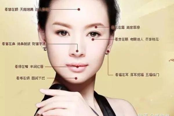 济缘算命：解读鼻子对命运的影响