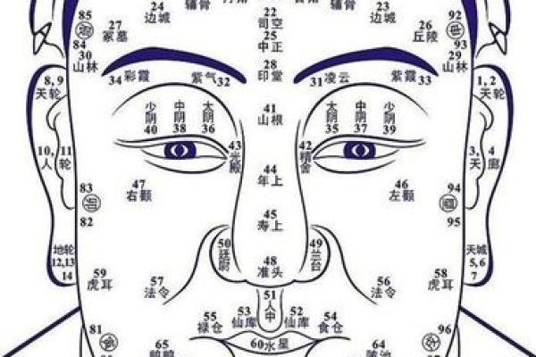 济缘算命：解读鼻子对命运的影响