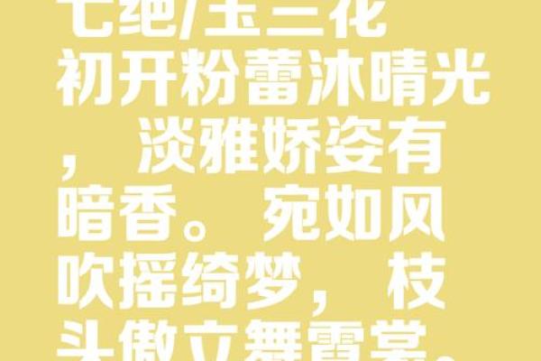 倾国倾城的八字 何为倾国倾城的八字