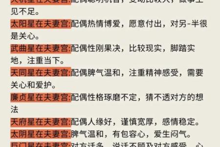 紫微斗数之夫妻宫与诸星，破军星在夫妻宫是什么意思？