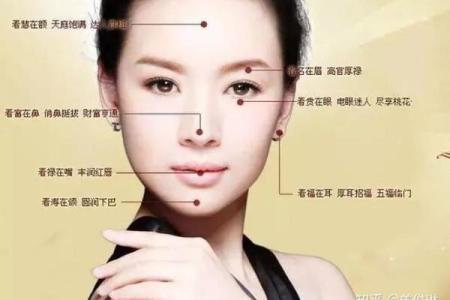 济缘算命：解读鼻子对命运的影响