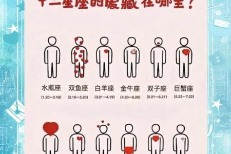 安真真星座全解析，包含个性特点及星座配对推荐