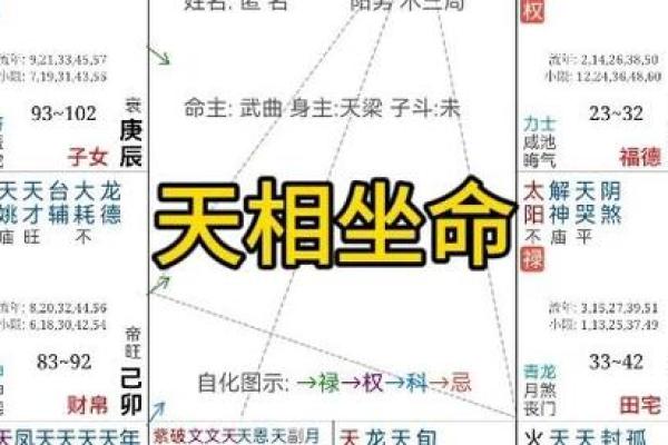 紫微斗数兄弟宫有紫薇天相