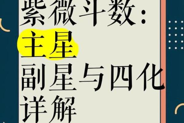 紫微斗数之四化论断法详释：　宫位太极变换