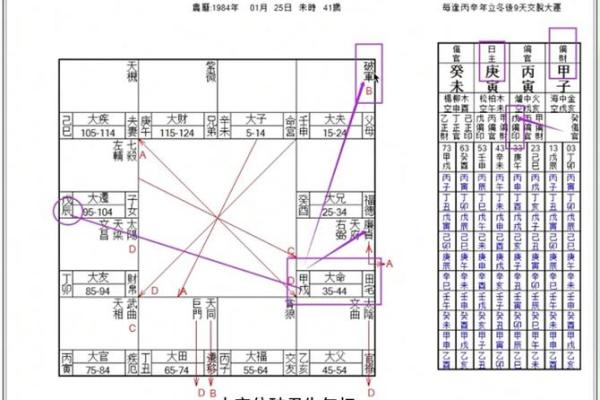 紫微斗数114种命盘