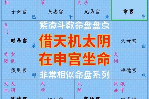 紫微斗数需注意子女宫缘分，天气太差忌怀孕