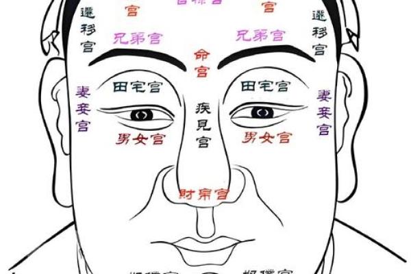 胎记算命胎记的位置与命运