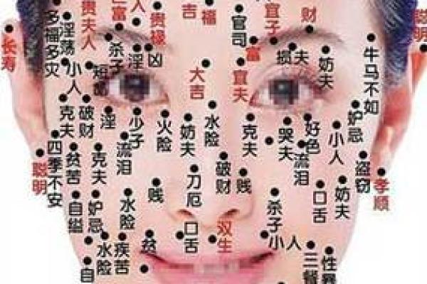 面相算命图解十二宫之：田宅宫