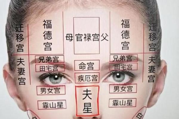 面相算命图解十二宫之：命宫
