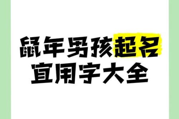 半夜出生的属鼠男孩起名用什么字最好姓名