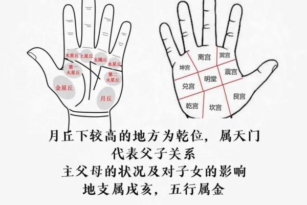 凯帝阿手相算命图解大全06