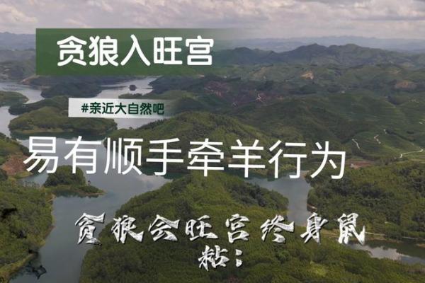 紫薇斗数贪狼星性 紫薇斗数贪狼星性