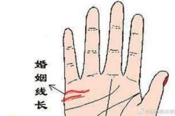 女人右手掌纹图解算命婚姻线 咋看女人右手的婚姻线 女人右手掌纹图解算命婚姻线 咋看女人右手的婚姻线