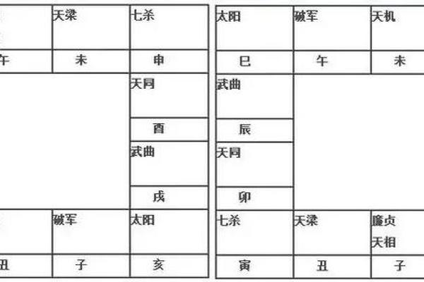 紫薇斗数里面流时