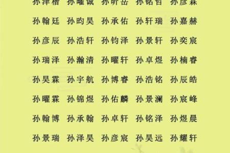 下午出生的属猴男孩起什么名，适合什么字姓名