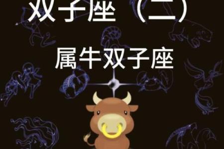 金牛女吃定哪个星座男