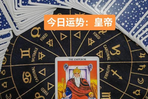 塔罗牌测试六月财运