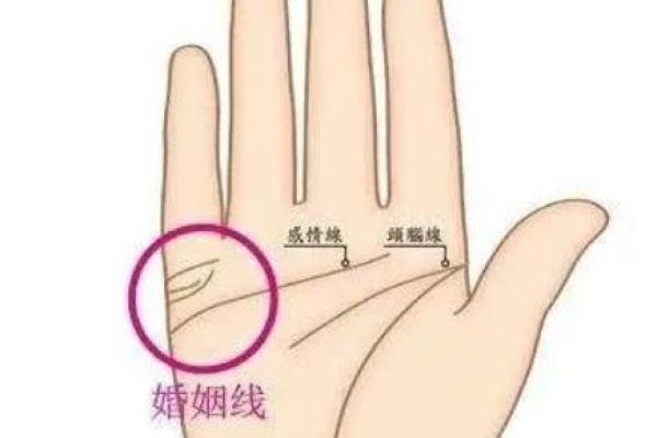 女性手掌纹算命图解婚姻