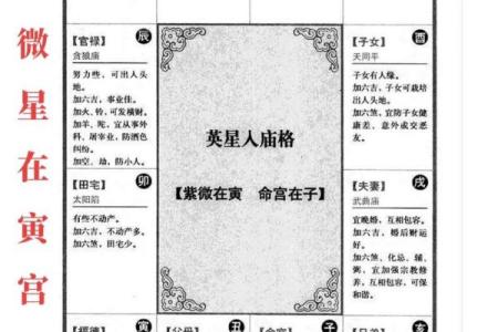 文墨天机紫薇斗数怎么看