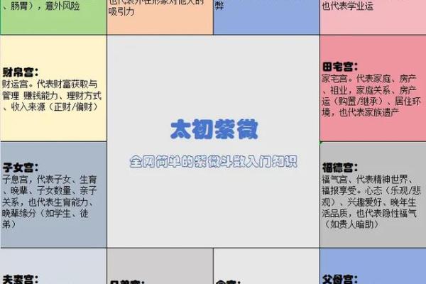 紫薇斗数小限怎么看