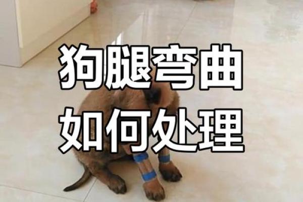 外八字绑腿